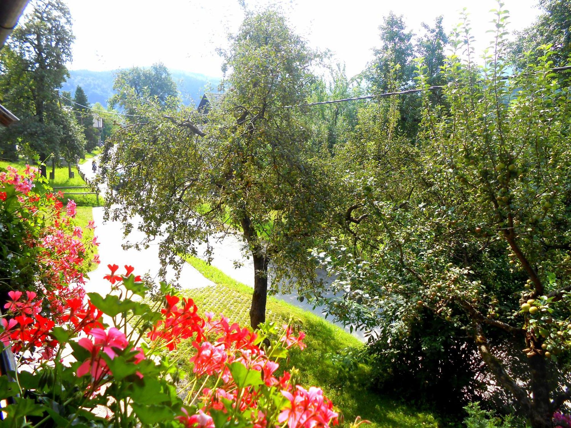 V Objemu Gora Appartement Bohinj Buitenkant foto